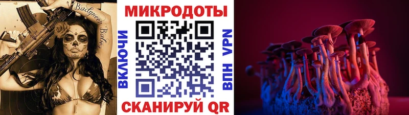 Псилоцибиновые грибы мухоморы  купить наркотик  Нижнеудинск 
